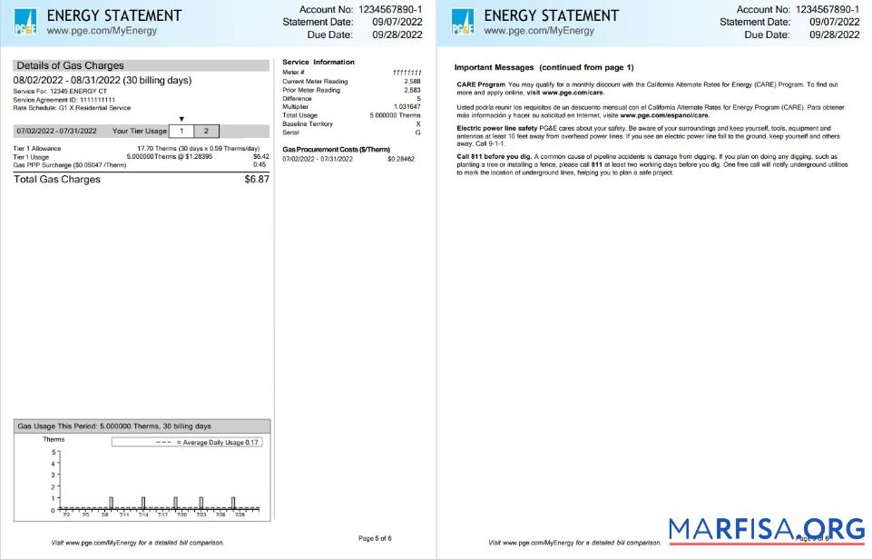 Blank USA California PG&E (Pacific Gas and Electric Company) utility bill, Word and PDF template, 6 pages 5 6